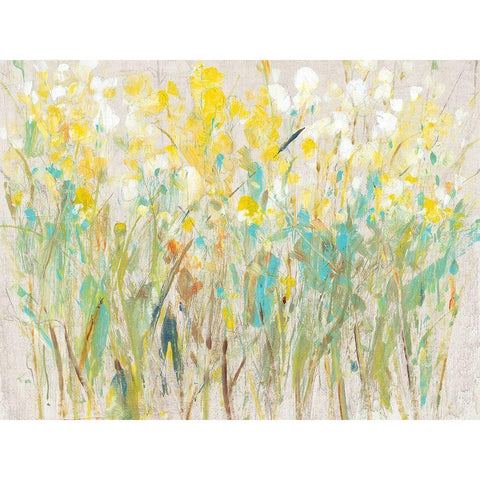 Floral Cluster I Black Modern Wood Framed Art Print with Double Matting by OToole, Tim