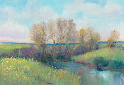 Hidden Stream II Black Ornate Wood Framed Art Print with Double Matting by OToole, Tim