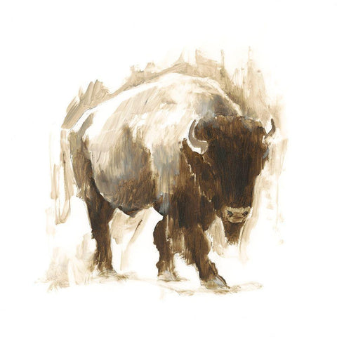 Rustic Bison I White Modern Wood Framed Art Print with Double Matting by Harper, Ethan