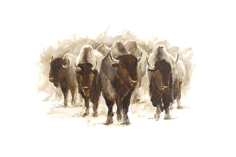 Herd of Bison II White Modern Wood Framed Art Print with Double Matting by Harper, Ethan