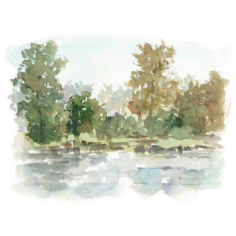 Wooded Stream I Black Modern Wood Framed Art Print by Harper, Ethan