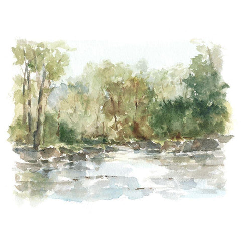 Wooded Stream II Black Modern Wood Framed Art Print by Harper, Ethan