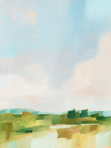 Spring Skies I White Modern Wood Framed Art Print with Double Matting by Harper, Ethan