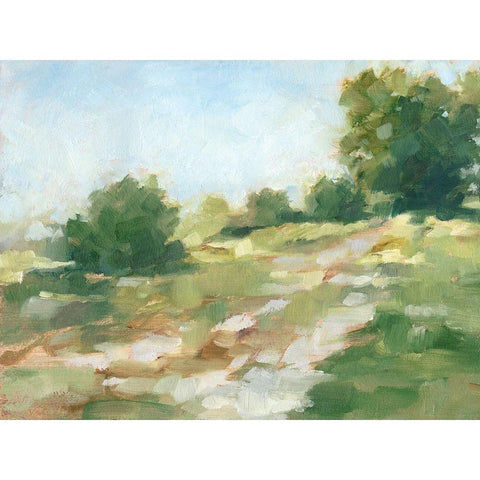 Beaten Path II Black Modern Wood Framed Art Print by Harper, Ethan