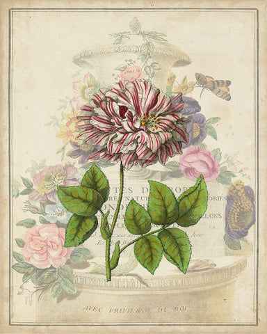 Vintage Rose Bookplate Black Ornate Wood Framed Art Print with Double Matting by Vision Studio