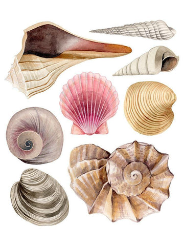 Sea Souvenirs I White Modern Wood Framed Art Print with Double Matting by Popp, Grace