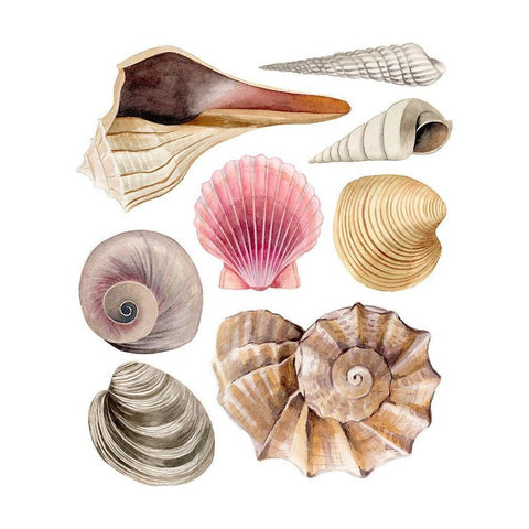 Sea Souvenirs I Gold Ornate Wood Framed Art Print with Double Matting by Popp, Grace
