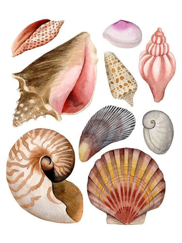 Sea Souvenirs II Black Ornate Wood Framed Art Print with Double Matting by Popp, Grace