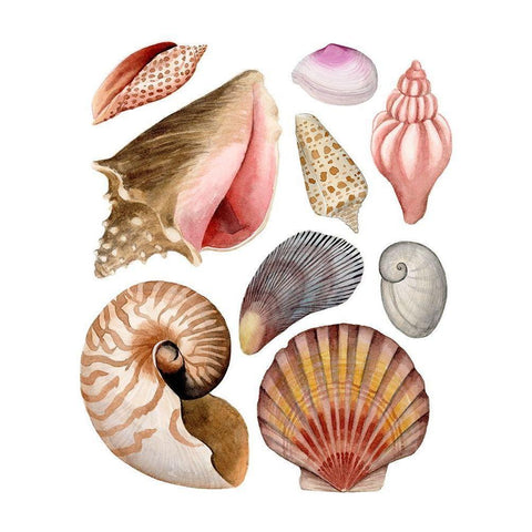 Sea Souvenirs II White Modern Wood Framed Art Print by Popp, Grace