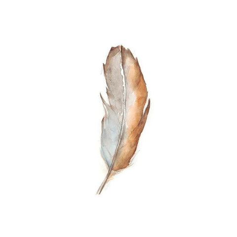 Bird Life VI Black Modern Wood Framed Art Print by Harper, Ethan