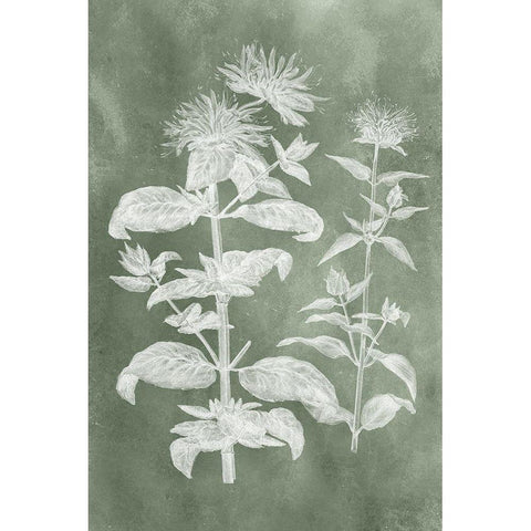 Sage Impressions III White Modern Wood Framed Art Print by Vision Studio