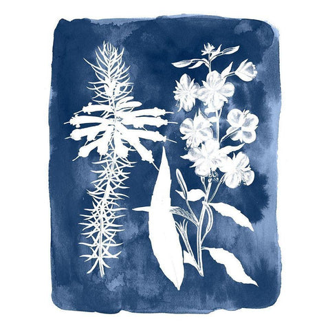 Botanical Inverse I White Modern Wood Framed Art Print by Vision Studio