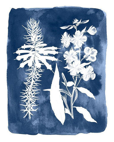 Botanical Inverse I White Modern Wood Framed Art Print with Double Matting by Vision Studio