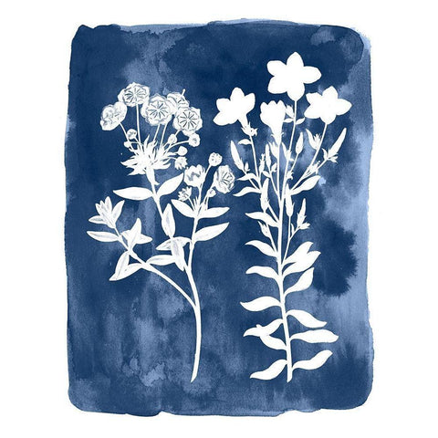 Botanical Inverse II White Modern Wood Framed Art Print by Vision Studio