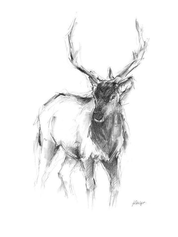 Western Animal Sketch II Black Ornate Wood Framed Art Print with Double Matting by Harper, Ethan