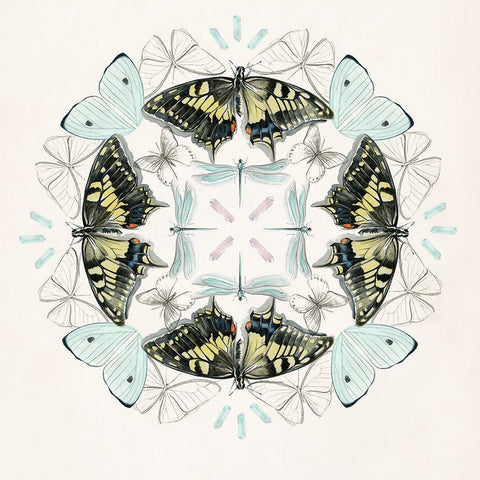 Butterfly Mandala I White Modern Wood Framed Art Print by Parker, Jennifer Paxton