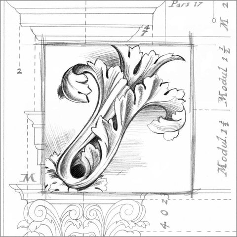 Acanthus Detail IV Black Modern Wood Framed Art Print by Harper, Ethan