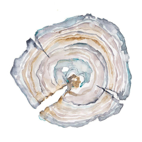 Watercolor Tree Ring I Black Modern Wood Framed Art Print by Harper, Ethan