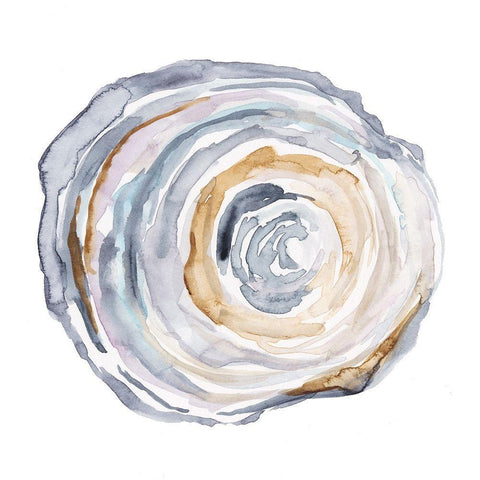 Watercolor Tree Ring IV White Modern Wood Framed Art Print by Harper, Ethan