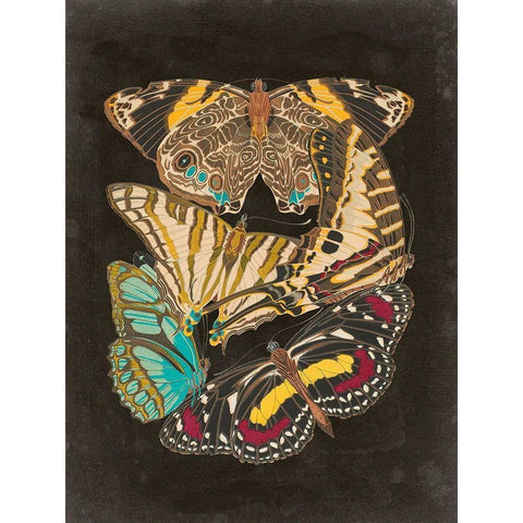 Winged Patterns I White Modern Wood Framed Art Print by Seguy, Eugene