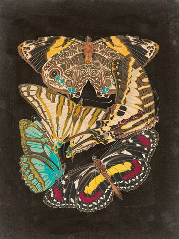 Winged Patterns I Black Ornate Wood Framed Art Print with Double Matting by Seguy, Eugene