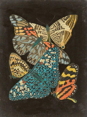 Winged Patterns II Black Ornate Wood Framed Art Print with Double Matting by Seguy, Eugene