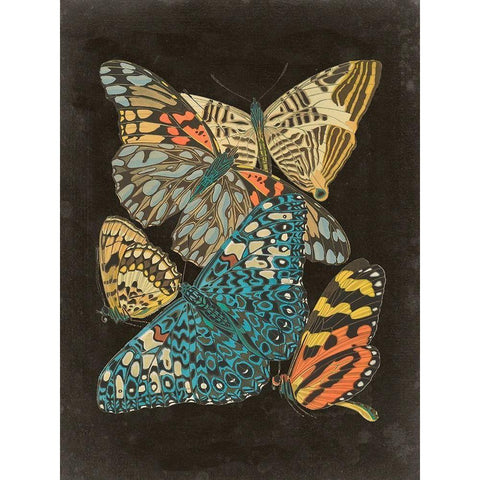 Winged Patterns II White Modern Wood Framed Art Print by Seguy, Eugene