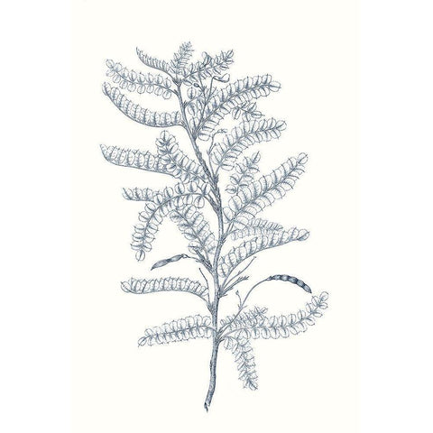 Indigo Botany Study II White Modern Wood Framed Art Print by Vision Studio