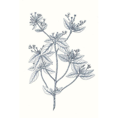 Indigo Botany Study III White Modern Wood Framed Art Print by Vision Studio