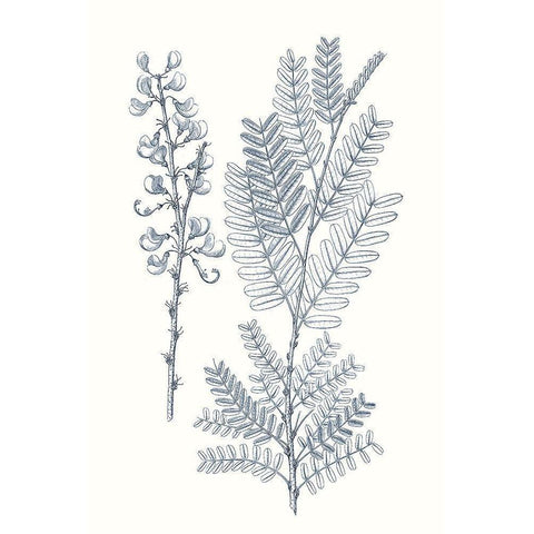 Indigo Botany Study VII White Modern Wood Framed Art Print by Vision Studio