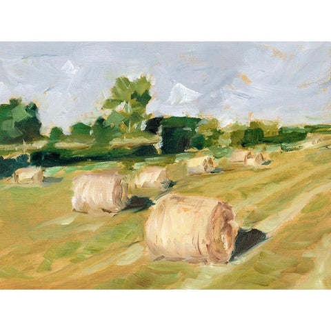 Hay Field II Black Modern Wood Framed Art Print by Harper, Ethan