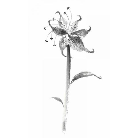 Ink Tiger Lily Gold Ornate Wood Framed Art Print with Double Matting by Rae, Nan