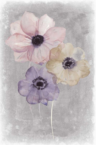 Floral Waltz II White Modern Wood Framed Art Print with Double Matting by Popp, Grace