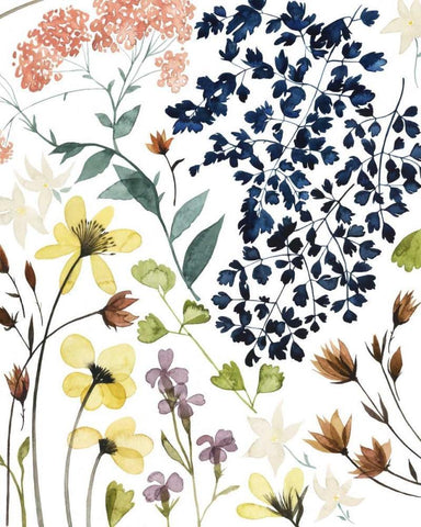 Flower Composition II Black Ornate Wood Framed Art Print with Double Matting by Popp, Grace