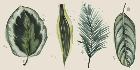 Palm Line-Up I Black Ornate Wood Framed Art Print with Double Matting by Popp, Grace