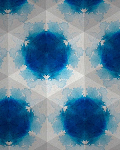 Sapphire Frost VI Black Ornate Wood Framed Art Print with Double Matting by Stramel, Renee W.