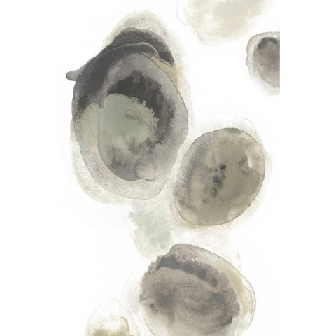 Water Stones I Black Modern Wood Framed Art Print with Double Matting by Vess, June Erica