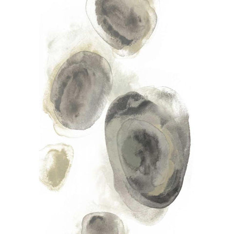 Water Stones II Gold Ornate Wood Framed Art Print with Double Matting by Vess, June Erica