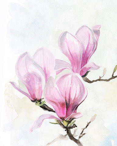 Magnolia Blooms II White Modern Wood Framed Art Print with Double Matting by Parker, Jennifer Paxton