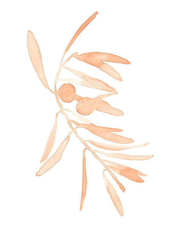 Blush Olive Branch I White Modern Wood Framed Art Print with Double Matting by Scarvey, Emma
