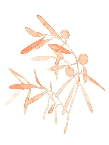 Blush Olive Branch IV White Modern Wood Framed Art Print with Double Matting by Scarvey, Emma