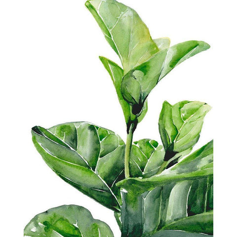 Fiddle Fig I White Modern Wood Framed Art Print by Parker, Jennifer Paxton