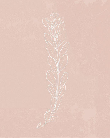 Blush Bloom II Black Ornate Wood Framed Art Print with Double Matting by Warren, Annie