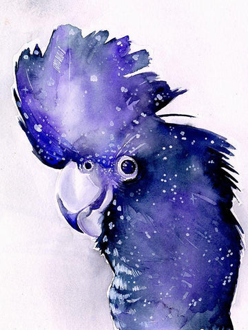 Celestial Cockatoos II Black Ornate Wood Framed Art Print with Double Matting by Parker, Jennifer Paxton