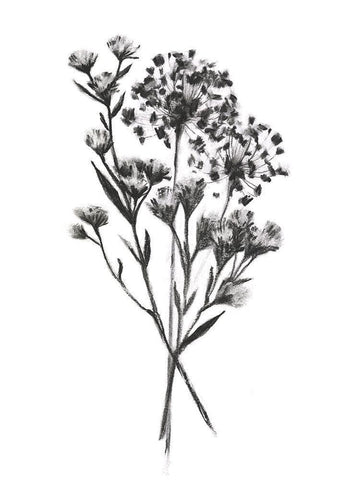 Wild Roadside Bouquet II Black Ornate Wood Framed Art Print with Double Matting by Scarvey, Emma