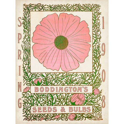 Antique Seed Packets XV White Modern Wood Framed Art Print by Unknown