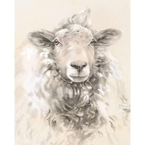 Sketched Farm Portraits I White Modern Wood Framed Art Print by Parker, Jennifer Paxton