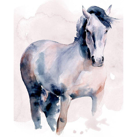 Horse in Watercolor I Black Modern Wood Framed Art Print with Double Matting by Parker, Jennifer Paxton