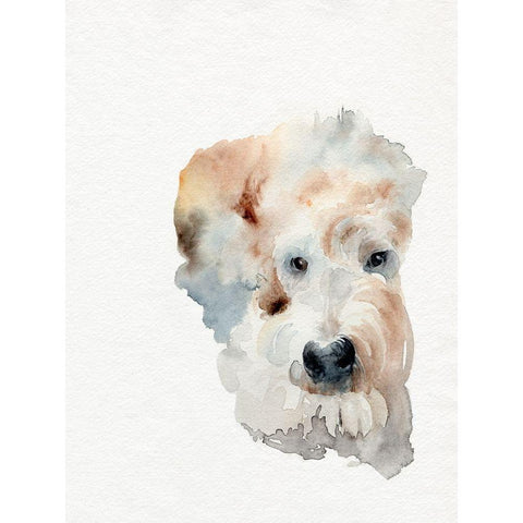 Scruffy Puppy I White Modern Wood Framed Art Print by Parker, Jennifer Paxton
