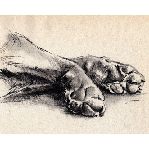 Charcoal Paws II Gold Ornate Wood Framed Art Print with Double Matting by Parker, Jennifer Paxton